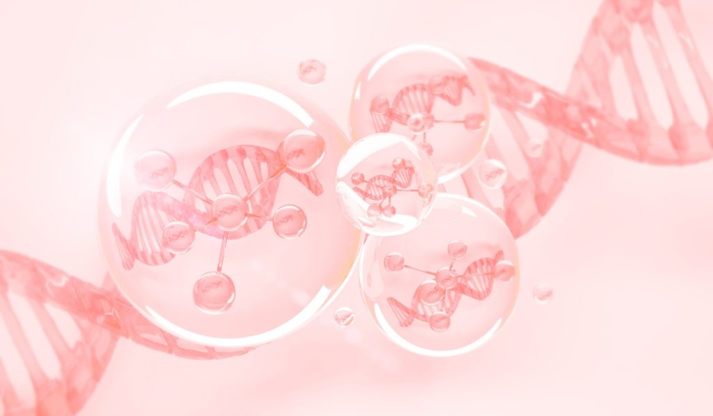 הכימיה שמאחורי טיפוח העור_ רכיבים פעילים שכל מקצועית חייבת להכיר - 2